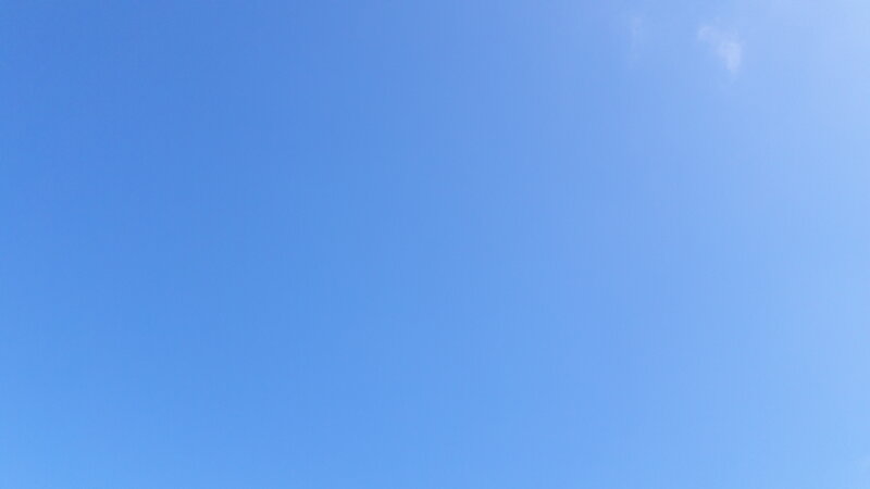 20250522_095650.jpg