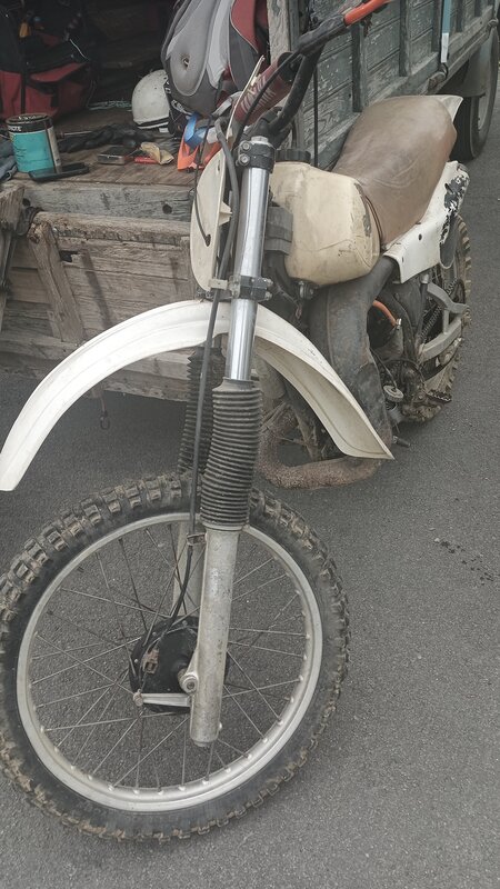 IMG_20250610_112323_341.jpg