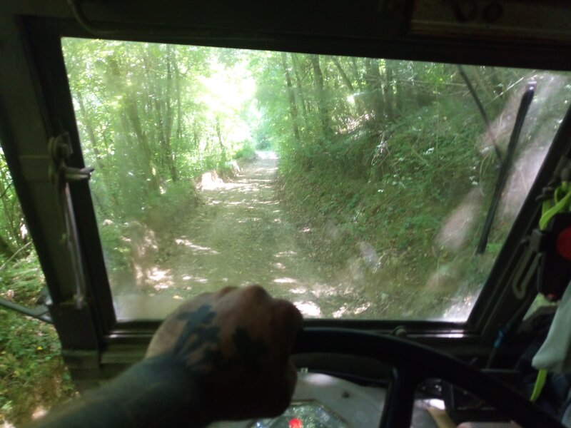 IMG_20250630_130605_581.jpg