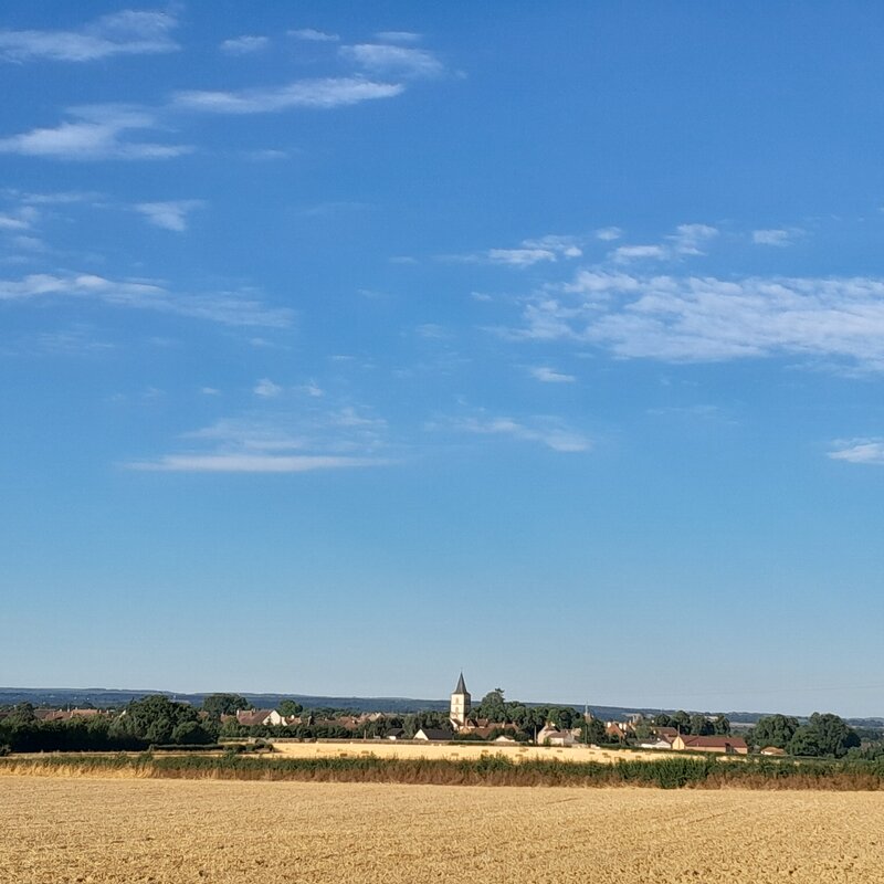 20250718_081104.jpg