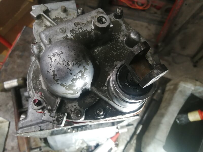 IMG_20231019_135218.jpg