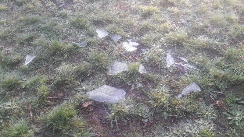 20251121_094333.jpg