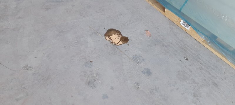 20251122_160943.jpg
