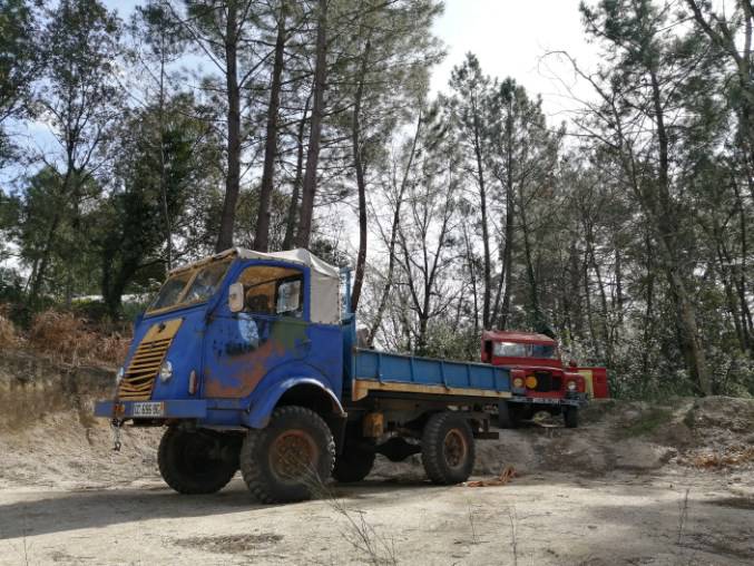 signal-2021-03-18-144216 (1).jpg