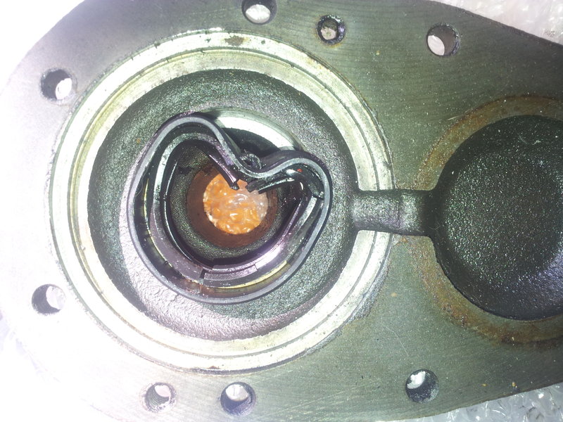 20150422_152920.jpg