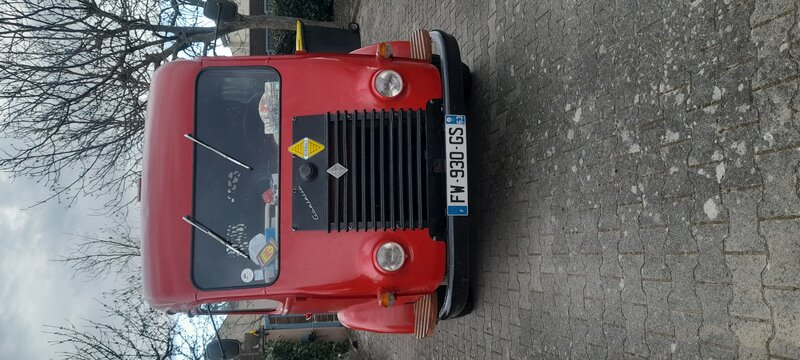 20260310_174246.jpg