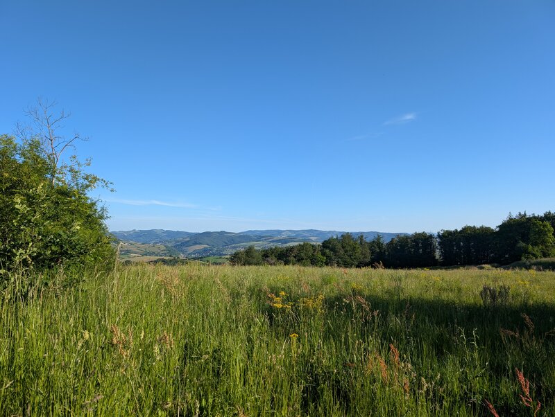 PXL_20260523_054908744.jpg