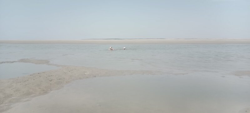 IMG_20260625_145915_937.jpg