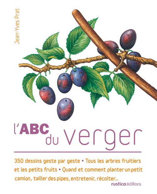 418616Verger.jpg