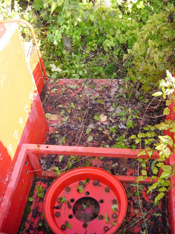 DSCN9904.JPG