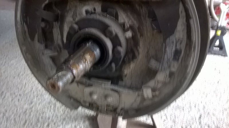 WP_20160325_003.jpg