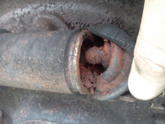 IMG20130929_011.jpg