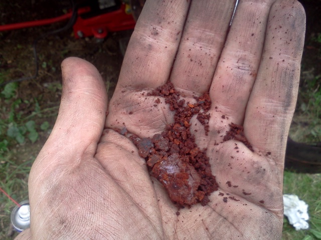 IMG20130929_013.jpg
