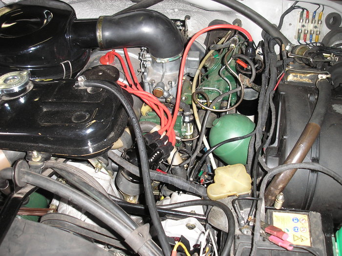 P1014243.JPG