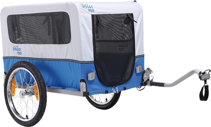 CRAZYVAN.jpg