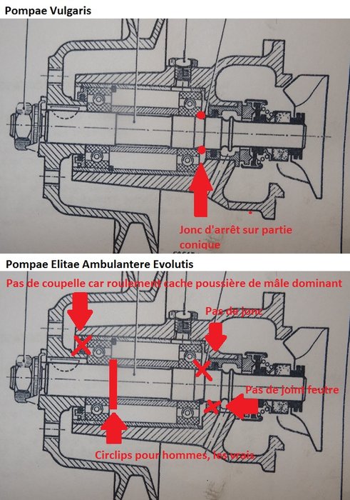 Pompe 11 - Schéma pour bouchés du coin.jpg
